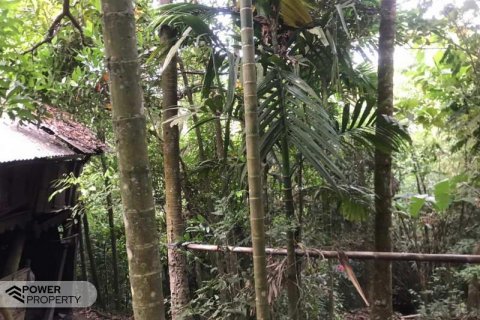 Tanah kavling 2400m2 di Tabanan, Bali (679) 8