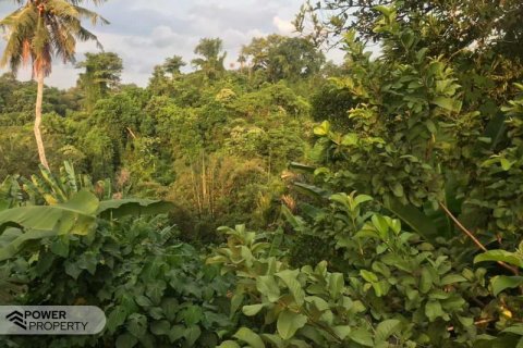 Tanah kavling 2400m2 di Tabanan, Bali (679) 6