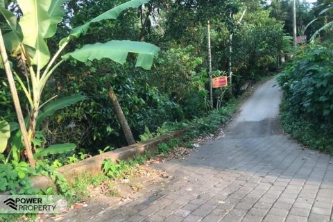 Tanah kavling 2400m2 di Tabanan, Bali (679) 3