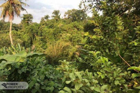 Tanah kavling 2400m2 di Tabanan, Bali (679)