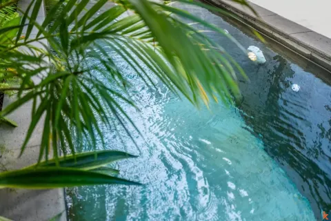 2 bedrooms Villa in Badung, Bali (11302) 17