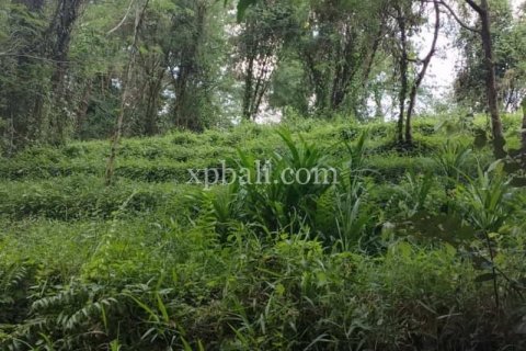 3200m2 Land in Tabanan, Bali (776) 2