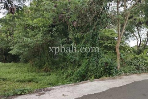 3200m2 Land in Tabanan, Bali (776) 5