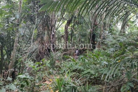 3200m2 Land in Tabanan, Bali (776) 6