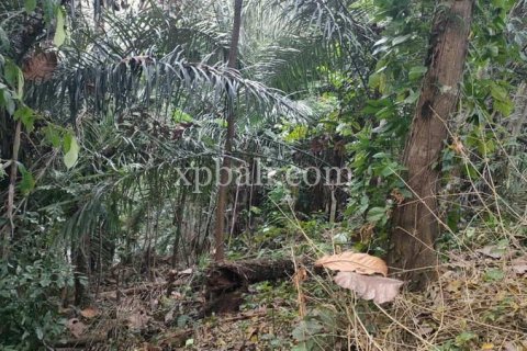3200m2 Land in Tabanan, Bali (776) 9