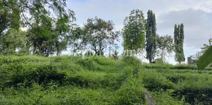 3200m2 Land in Tabanan, Bali (776)