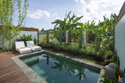 2 bedrooms Villa in Denpasar, Bali (10822) 6