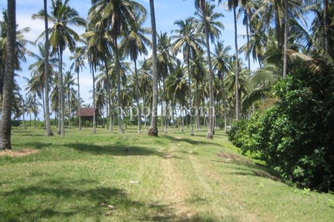 Tanah kavling 24800m2 di Tabanan, Bali (13915) 6