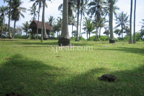 Tanah kavling 24800m2 di Tabanan, Bali (13915) 10