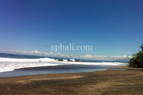 Tanah kavling 24800m2 di Tabanan, Bali (13915) 2