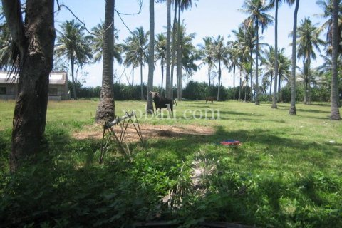 Tanah kavling 24800m2 di Tabanan, Bali (13915) 8