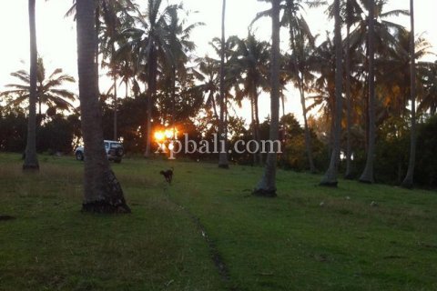 Tanah kavling 24800m2 di Tabanan, Bali (13915) 4