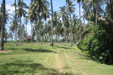 Tanah kavling 24800m2 di Tabanan, Bali (13915) 9