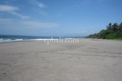 Tanah kavling 24800m2 di Tabanan, Bali (13915) 3