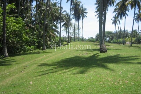 Tanah kavling 24800m2 di Tabanan, Bali (13915) 5