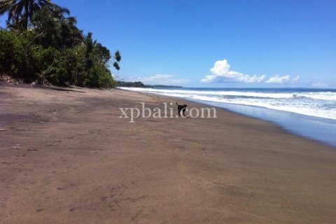 24800m2 Land in Tabanan, Bali (13915)