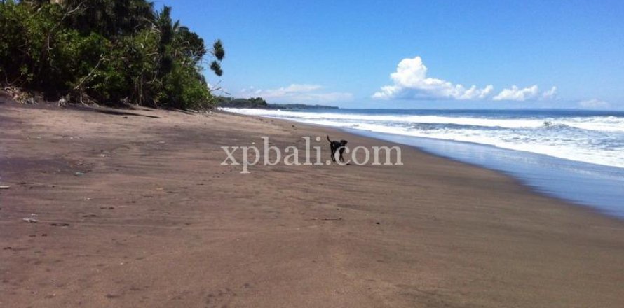 Tanah kavling 24800m2 di Tabanan, Bali (13915)