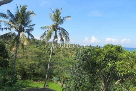 Tanah kavling 9335m2 di Negara, Jembrana, Bali (13914)
