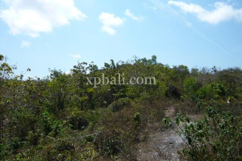 Tanah kavling 732m2 di Kuta Selatan, Badung, Bali (13917) 9