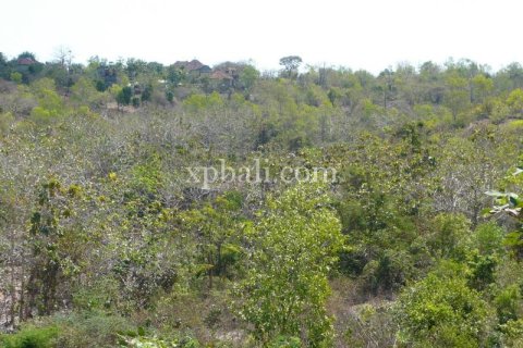 Tanah kavling 732m2 di Kuta Selatan, Badung, Bali (13917) 8