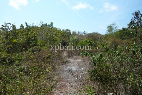 Tanah kavling 732m2 di Kuta Selatan, Badung, Bali (13917) 2
