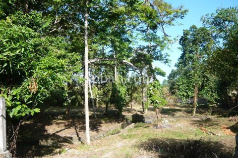2640m2 Land in Canggu, Badung, Bali (13916) 11