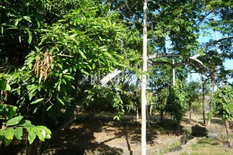 2640m2 Land in Canggu, Badung, Bali (13916) 10