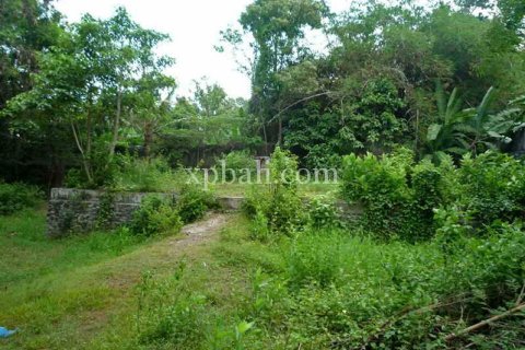 2640m2 Land in Canggu, Badung, Bali (13916) 3
