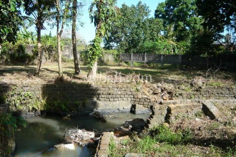 2640m2 Land in Canggu, Badung, Bali (13916) 9