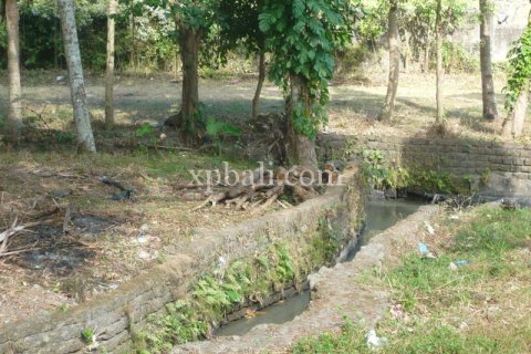 2640m2 Land in Canggu, Badung, Bali (13916) 7