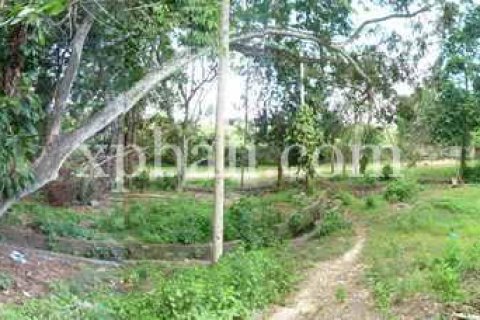 2640m2 Land in Canggu, Badung, Bali (13916) 2