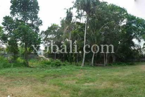 2640m2 Land in Canggu, Badung, Bali (13916)