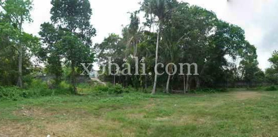 2640m2 Land in Canggu, Badung, Bali (13916)