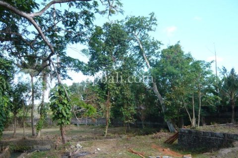 2640m2 Land in Canggu, Badung, Bali (13916) 6