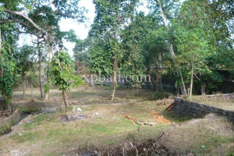 2640m2 Land in Canggu, Badung, Bali (13916) 5