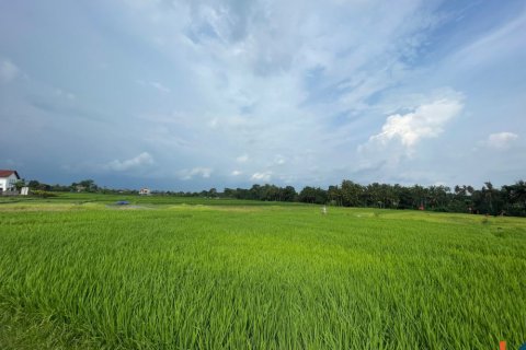 Tanah kavling di Kediri, Tabanan, Bali (11978)