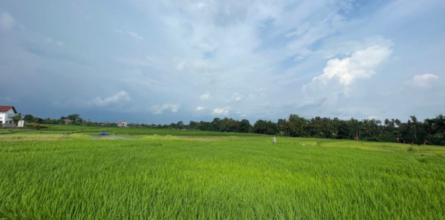 Land in Kediri, Tabanan, Bali (11978)