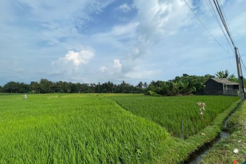 Land in Kediri, Tabanan, Bali (11978) 2