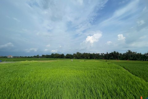 Land in Kediri, Tabanan, Bali (11978) 3