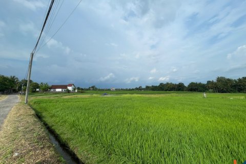 Land in Kediri, Tabanan, Bali (11978) 4