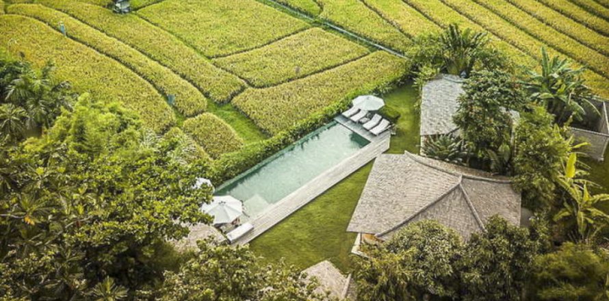9 bedrooms Villa in Badung, Bali (11976)