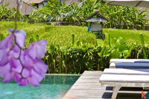 9 bedrooms Villa in Badung, Bali (11976) 21