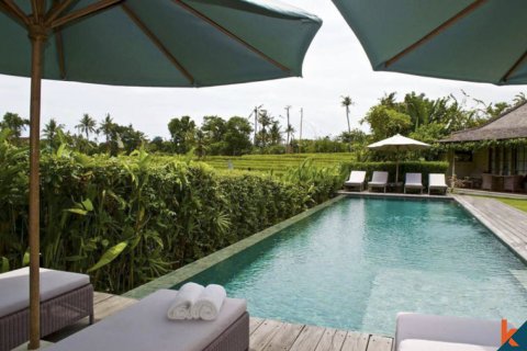 9 bedrooms Villa in Badung, Bali (11976) 13