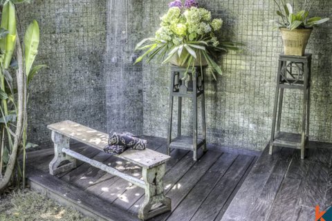9 bedrooms Villa in Badung, Bali (11976) 18