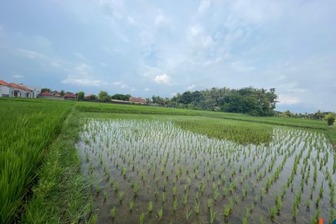 Tanah kavling di Kediri, Tabanan, Bali (11981)