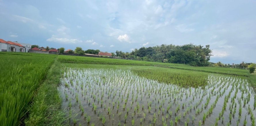 Land in Kediri, Tabanan, Bali (11981)