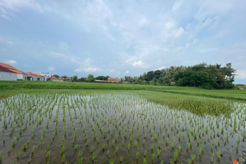 Land in Kediri, Tabanan, Bali (11981) 4