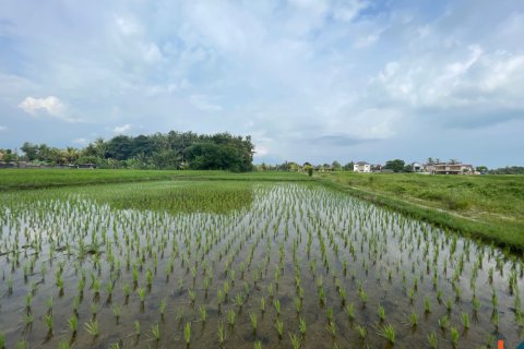 Land in Kediri, Tabanan, Bali (11981) 2