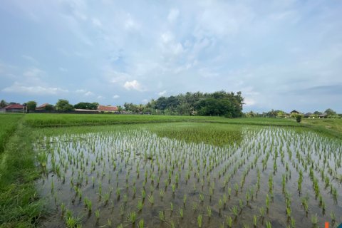 Land in Kediri, Tabanan, Bali (11981) 3