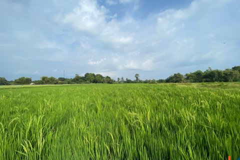 Tanah kavling di Kediri, Tabanan, Bali (11980)